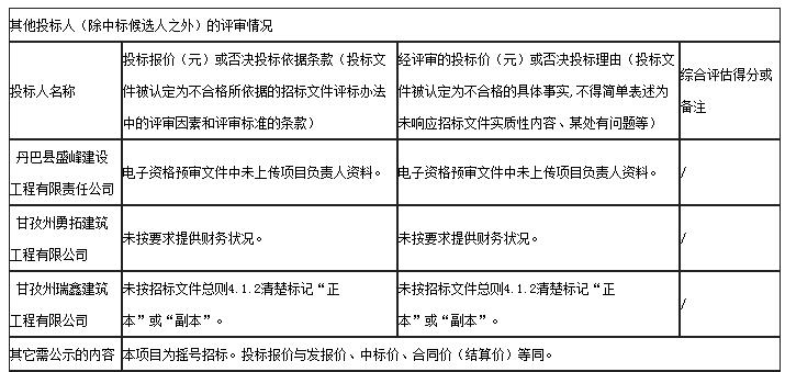 其他投标人（除中标候选人之外）的评审情况